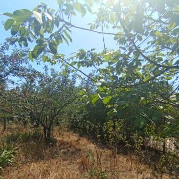 Продается Участок, 800 м²