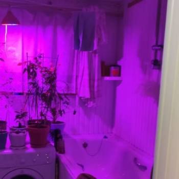Продается Дом, 28,5 м²