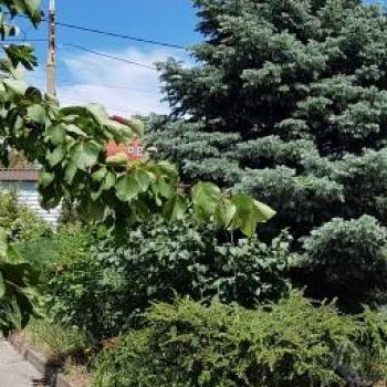 Продается Дом, 537 м²