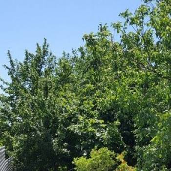 Продается Дом, 537 м²