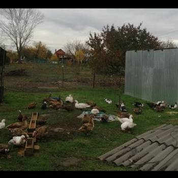 Продается Дом, 50 м²