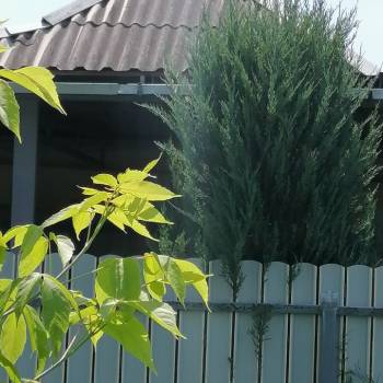 Продается Участок, 263 м²