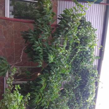 Продается Дом, 142 м²