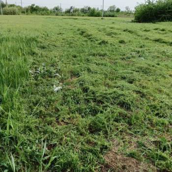 Продается Участок, 800 м²