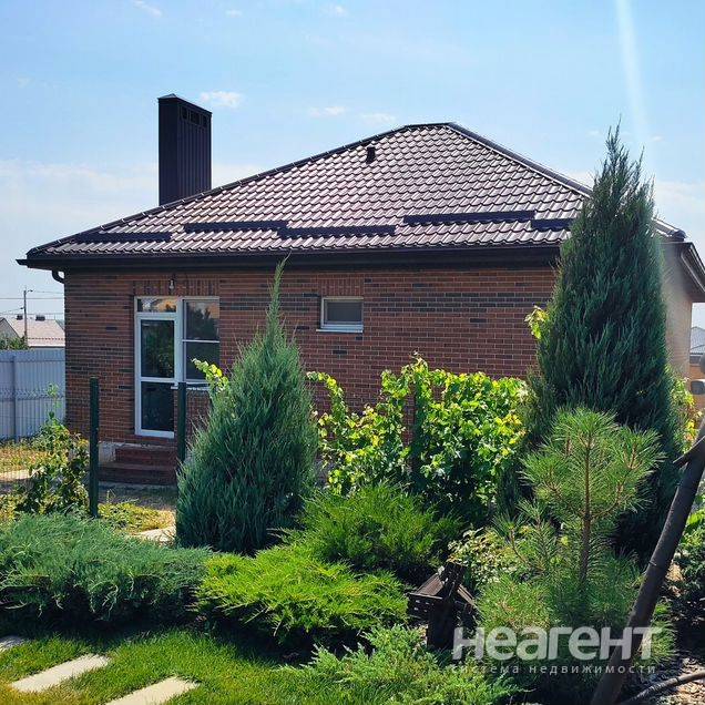 Фотография №2