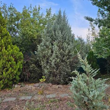 Продается Участок, 610 м²