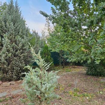 Продается Участок, 610 м²