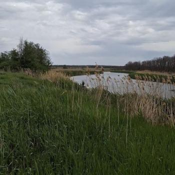 Продается Участок, 4100 м²