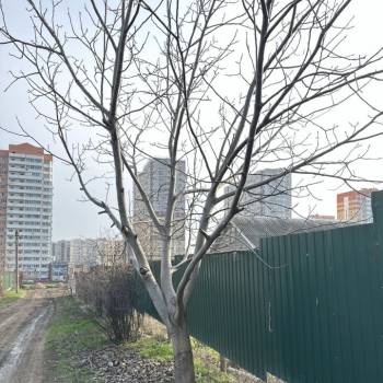 Продается Участок, 500 м²