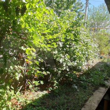 Продается Участок, 400 м²