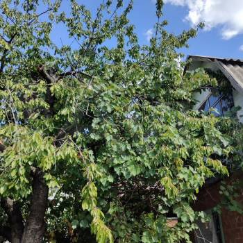 Продается Участок, 400 м²