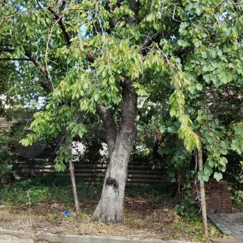 Продается Участок, 400 м²