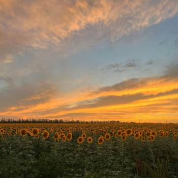 Продается Участок, 920 м²