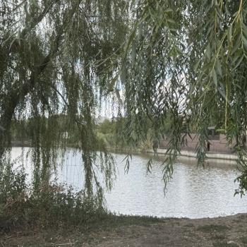 Продается Дом, 187,4 м²