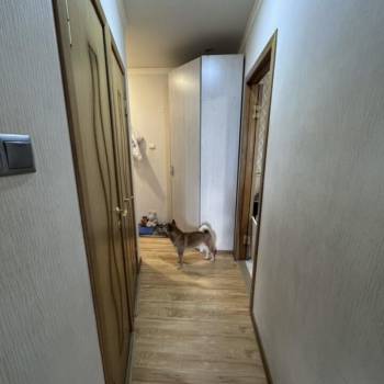 Продается 3-х комнатная квартира, 55,5 м²