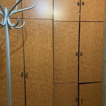 Сдается 1-комнатная квартира, 49,1 м²