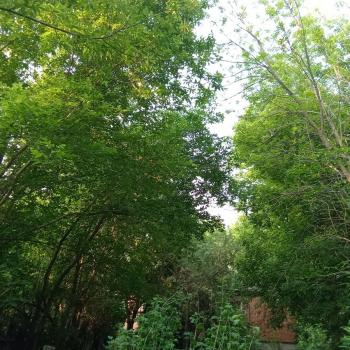 Продается Дом, 71,1 м²