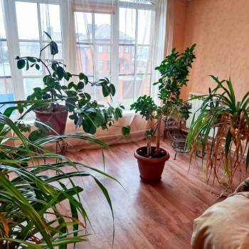 Продается Дом, 227 м²