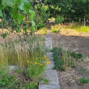 Продается Дом, 54 м²