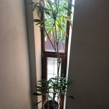 Продается Дом, 350 м²