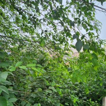 Продается Участок, 600 м²