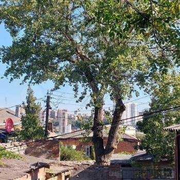 Продается Многокомнатная квартира, 75 м²