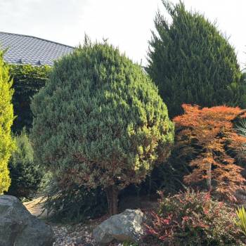 Продается Дом, 153,3 м²