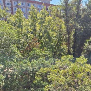 Продается Многокомнатная квартира, 84 м²