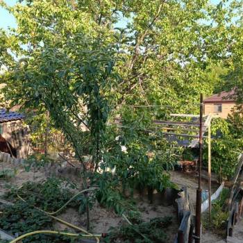 Продается Участок, 510 м²