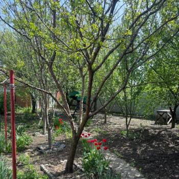 Продается Дом, 161,1 м²