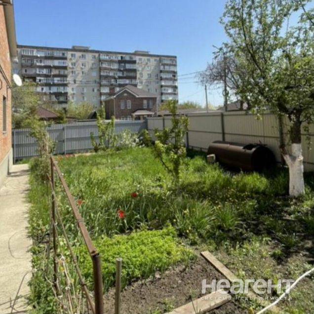 Фотография №3