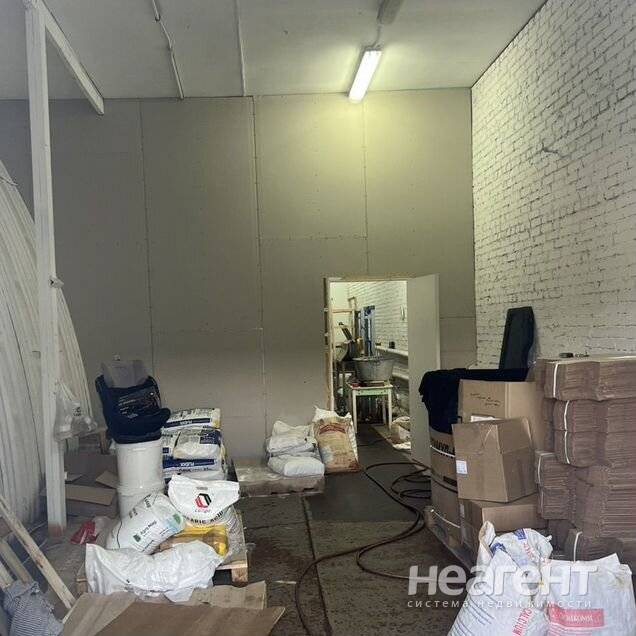 Фотография №5