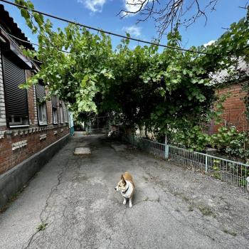 Продается Дом, 90 м²