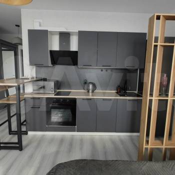 Сдается 1-комнатная квартира, 29,8 м²