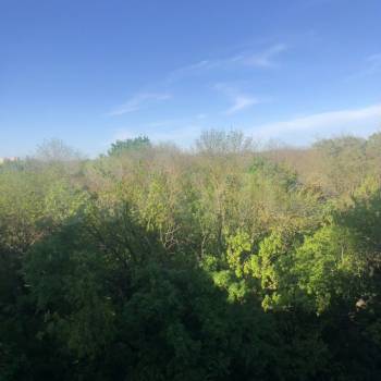 Продается 3-х комнатная квартира, 96 м²