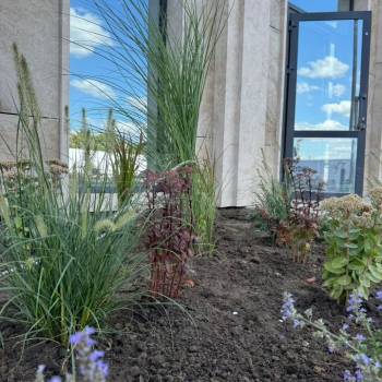 Продается Нежилое помещение, 72 м²