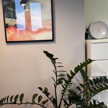 Сдается 2-х комнатная квартира, 49 м²