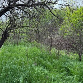 Продается Дом, 30 м²