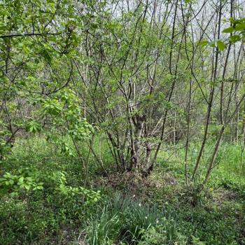 Продается Дом, 30 м²