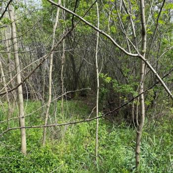 Продается Дом, 30 м²