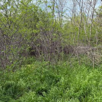 Продается Дом, 30 м²