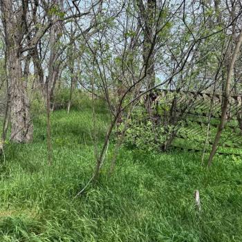 Продается Дом, 30 м²