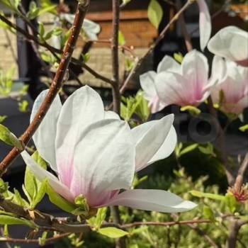 Продается Дом, 180 м²