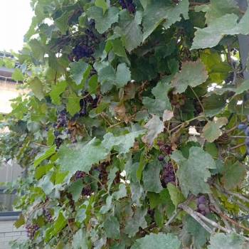 Продается Дом, 80 м²