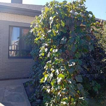 Продается Дом, 80 м²