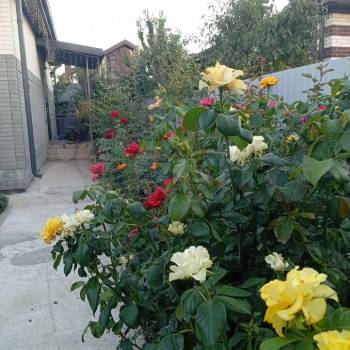 Продается Дом, 80 м²