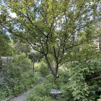 Продается Дом, 60 м²