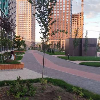 Сдается 2-х комнатная квартира, 54 м²