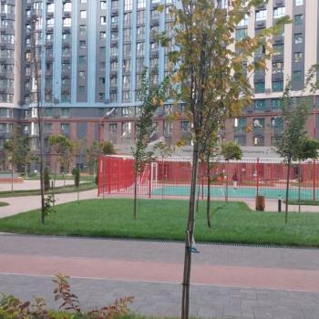 Сдается 2-х комнатная квартира, 54 м²