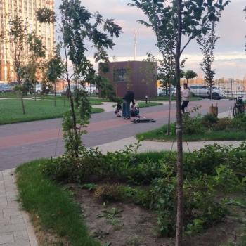 Сдается 2-х комнатная квартира, 54 м²